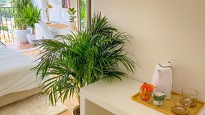 Habitación de hotel con cama, una planta grande en maceta, una mesita con bandeja y ventana con vistas.