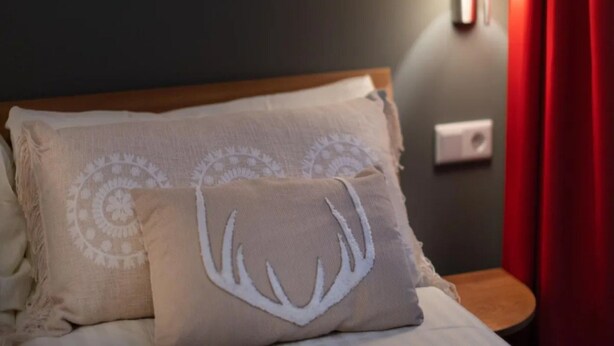 Un letto con due cuscini, uno con motivo floreale e l'altro con un disegno raffigurante un cervo, davanti a una parete scura con una lampada e una presa di corrente.