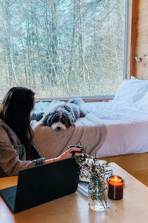 1 bedroom, desk, laptop workspace, bed sheets