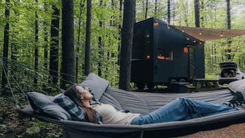 Servicio de la propiedad