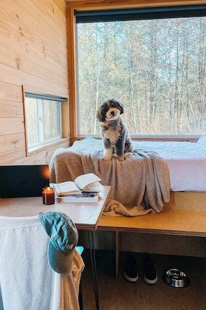 1 bedroom, desk, laptop workspace, bed sheets