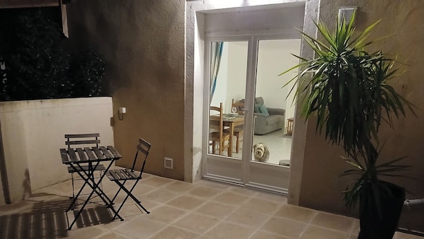 Eine Terrassenfläche mit Klapptisch und -stühlen, einem Blumentopf und einer Glastür zum Innenbereich mit einer Couch und einem Hund.