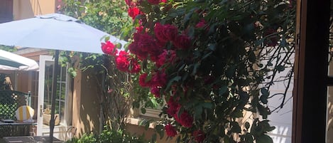 Un patio al aire libre con mesas y sillas, rodeado de un jardín con flores rojas y un edificio al fondo.