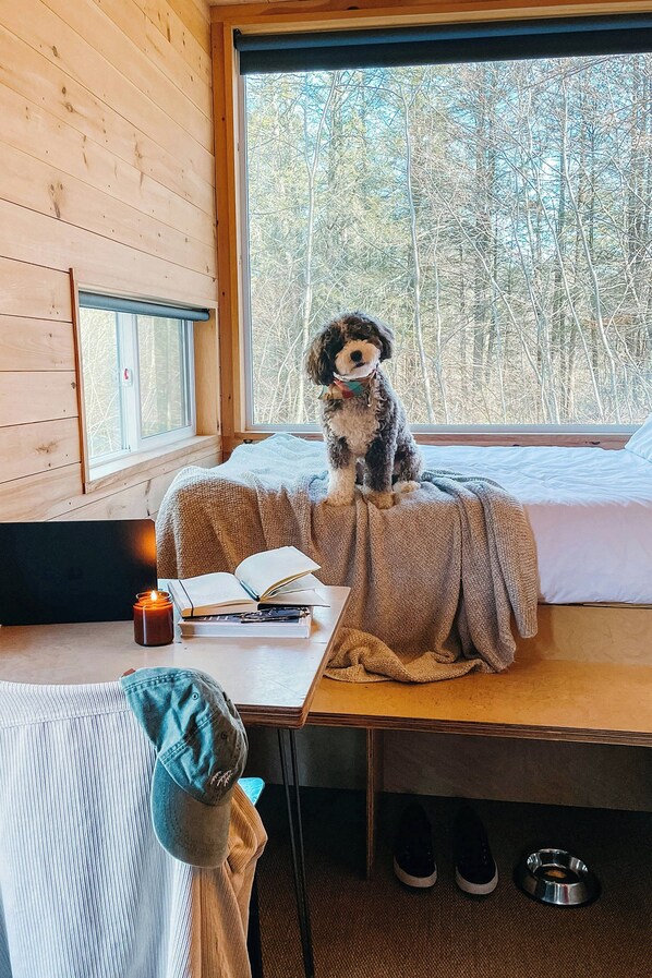 Standard Cabin, 1 Queen Bed - Postcard Cabins Big Bear, Outdoor Collection by Marriott Bonvoy (Running Springs)