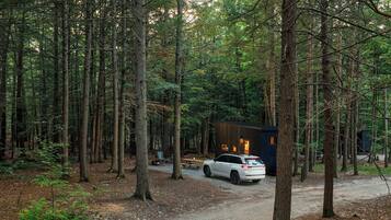 A forest with a cabin and a car parked on a gravel path.