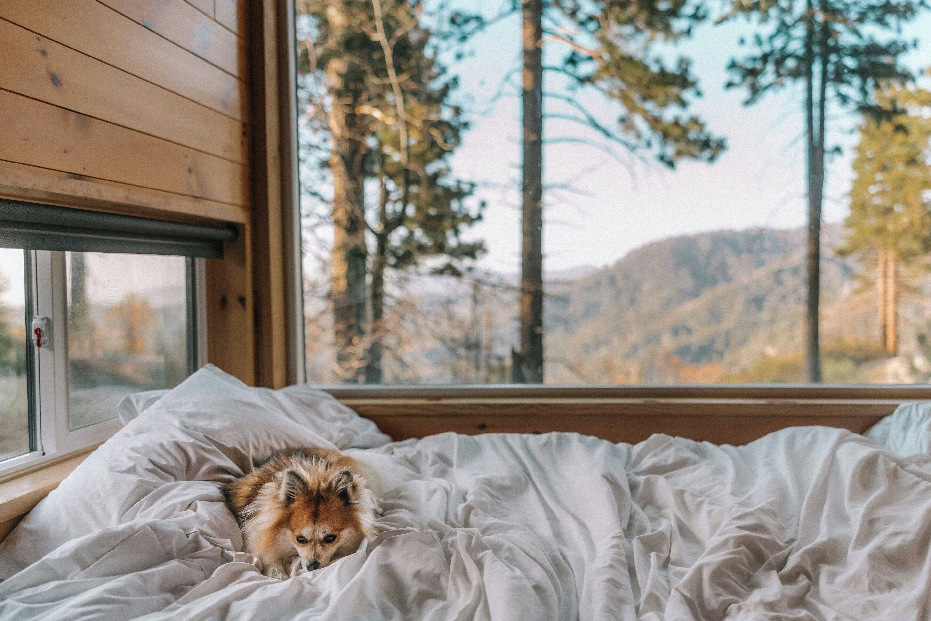 1 개의 침실, 책상, 노트북 작업 공간, 침대 시트