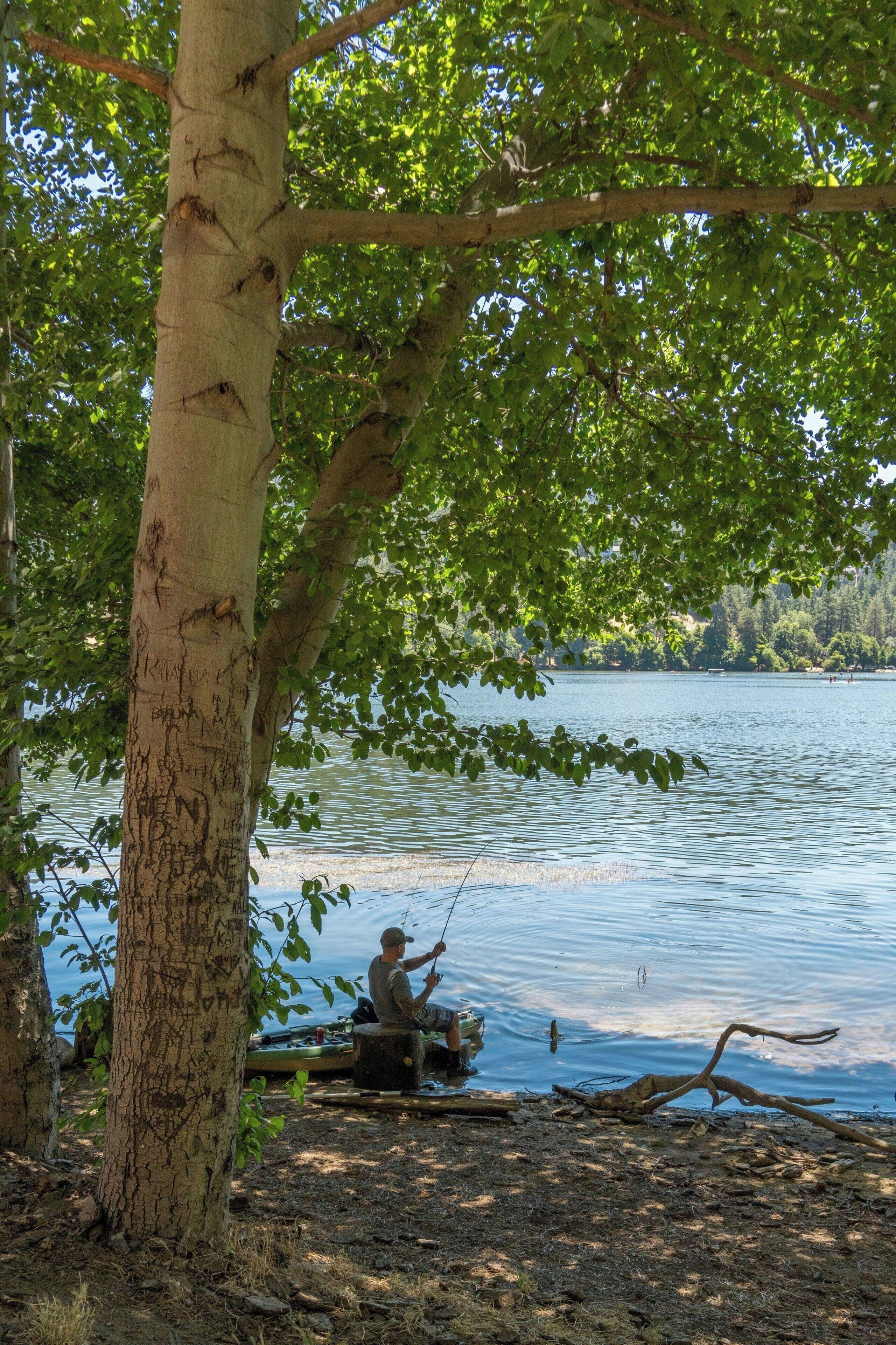 A person fishing by a calm lake, surrounded by trees.