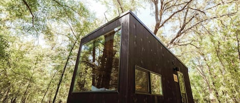 Eine kleine, dunkel gefärbte Holzhütte mit großen Fenstern, umgeben von einem Wald.