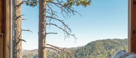 1 多间卧室、办公桌、笔记本电脑工作区、床单