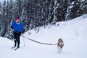 Snow and ski sports - Snowshoe Summit | Ski-in/out | Hot Pools | Sauna (Panorama)
