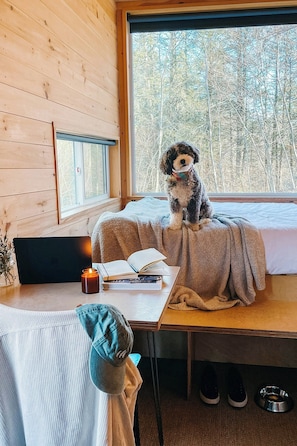 Standard Cabin, 1 Queen Bed | 1 bedroom, desk, laptop workspace, bed sheets