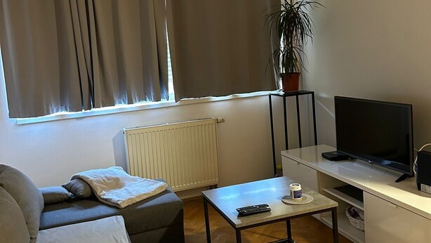 Ein modernes Wohnzimmer mit einer Couch, einem Couchtisch, einem Fernseher und einer Pflanze.