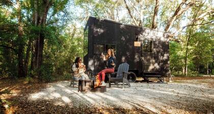 Postcard Cabins Dale Hollow, Outdoor Collection by Marriott Bonvoy