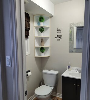 Hair dryer, towels, soap, toilet paper