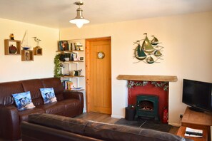 Televisión, chimenea, reproductor de DVD y libros