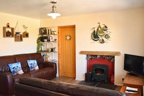 Tv, pejs, dvd-afspiller, bøger