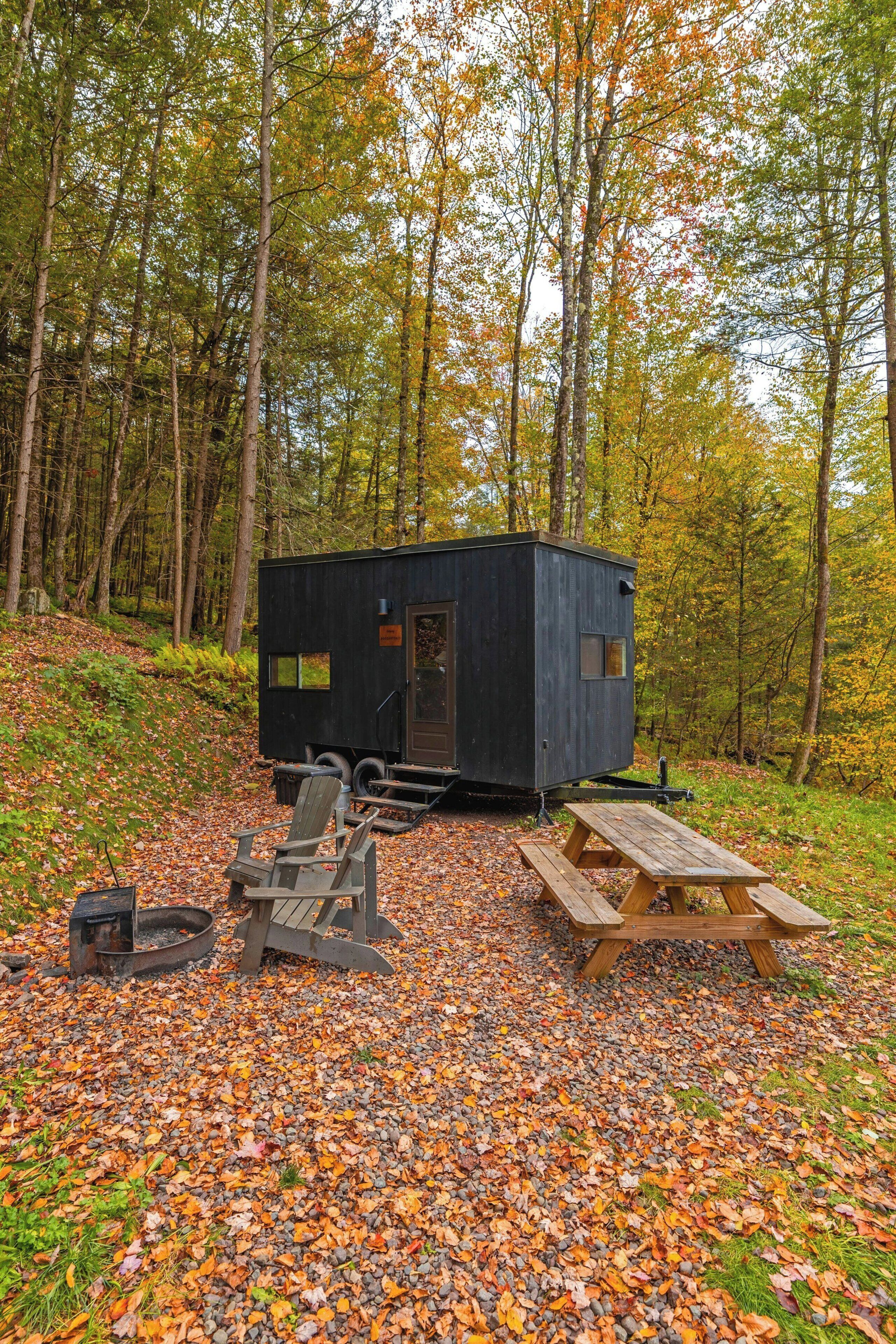 A small cabin with a door and windows, surrounded by trees and a picnic table.