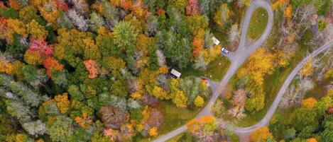 An aerial view of a forested area with winding roads and small buildings.