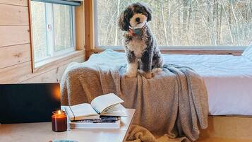 A cozy cabin room with a dog sitting on a bed, a table with a book and a candle, and a window overlooking a forest.
