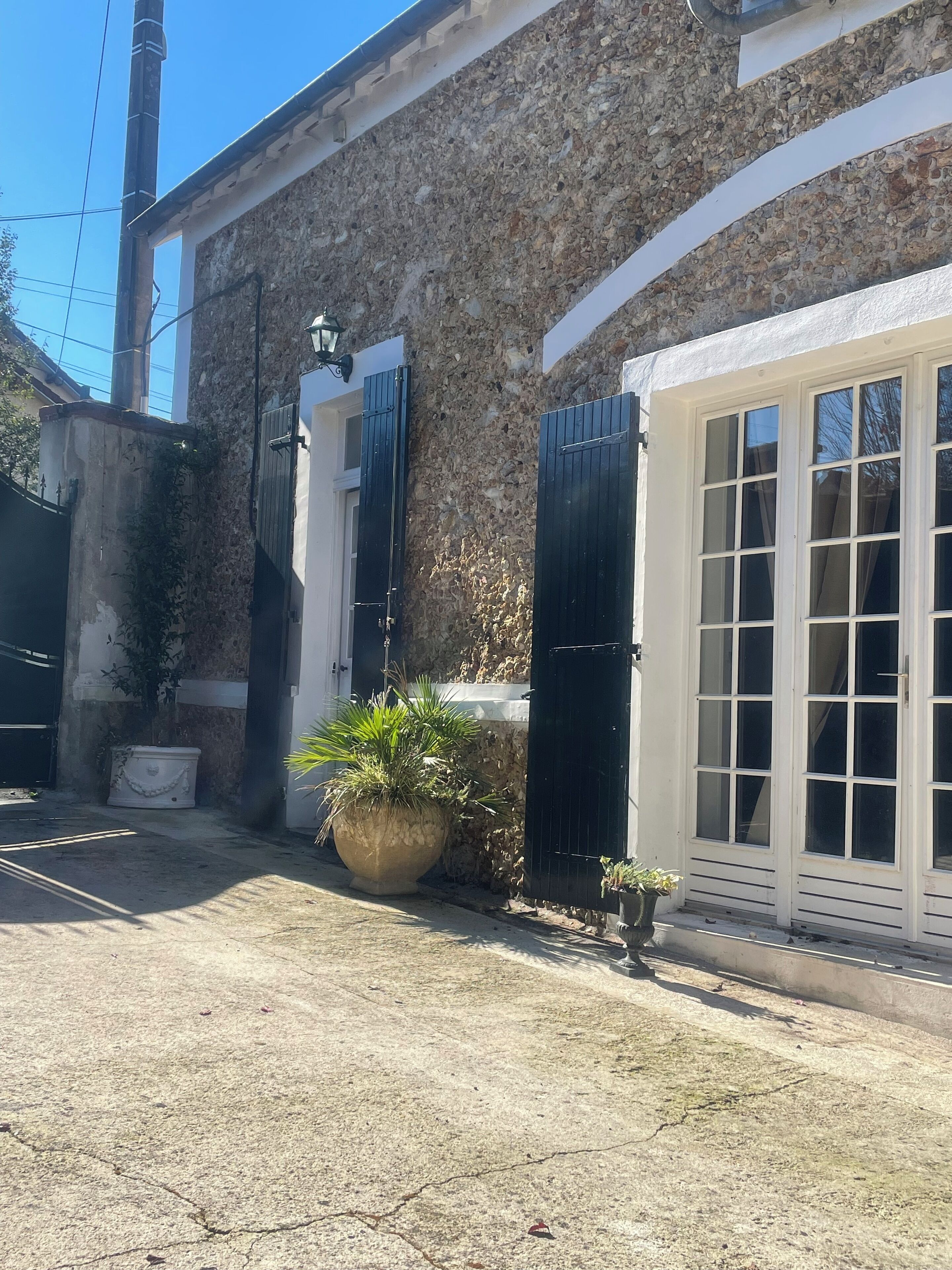 A stone building with a large potted plant and a white door with black shutters.