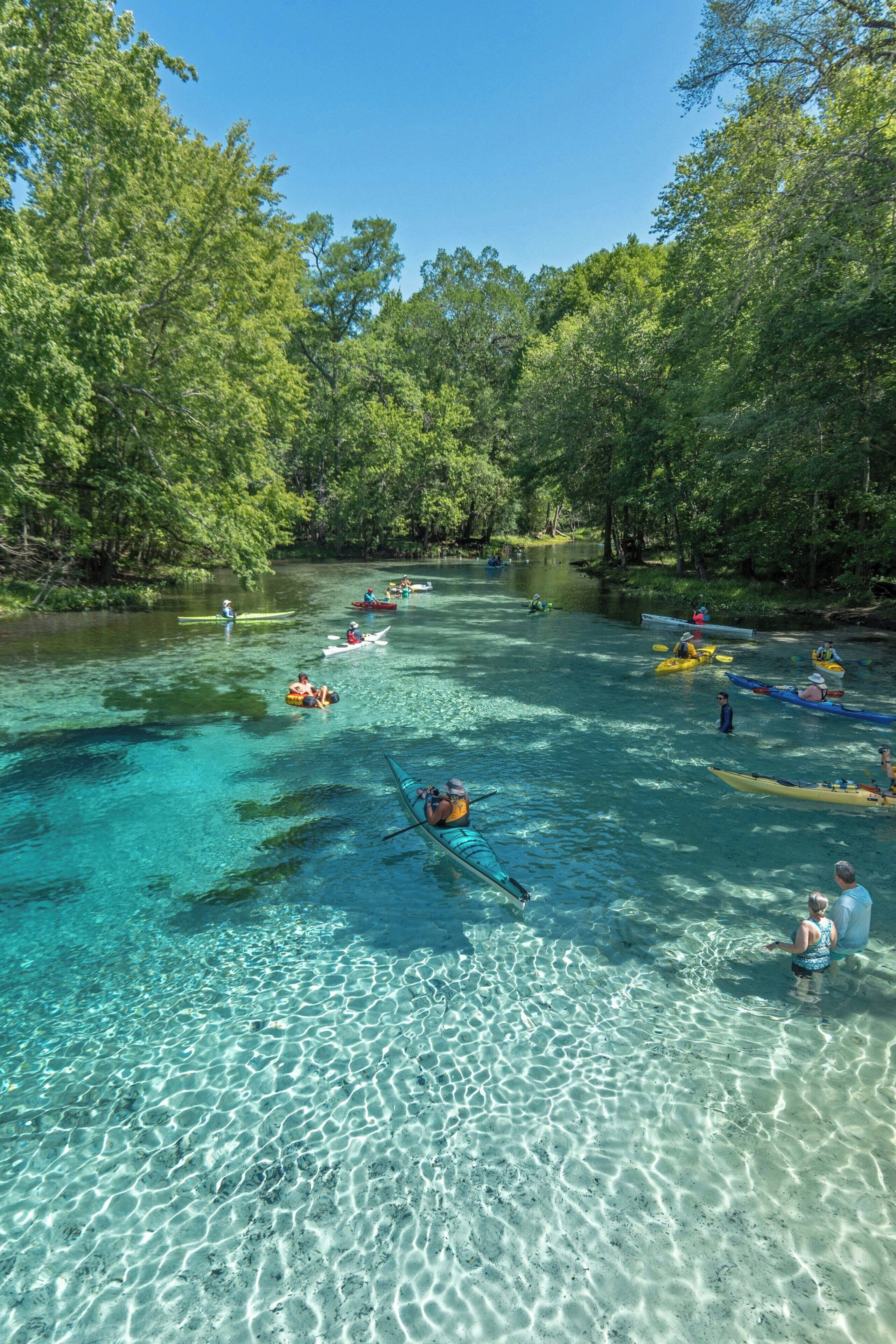 A river with kayaks and canoes, surrounded by dense trees.