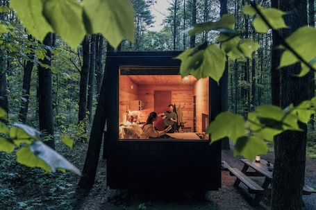 A cabin with a cozy interior, a dining area, and a view of the forest.