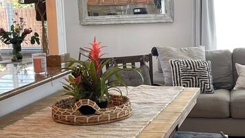 Älytelevisio, kirjoja