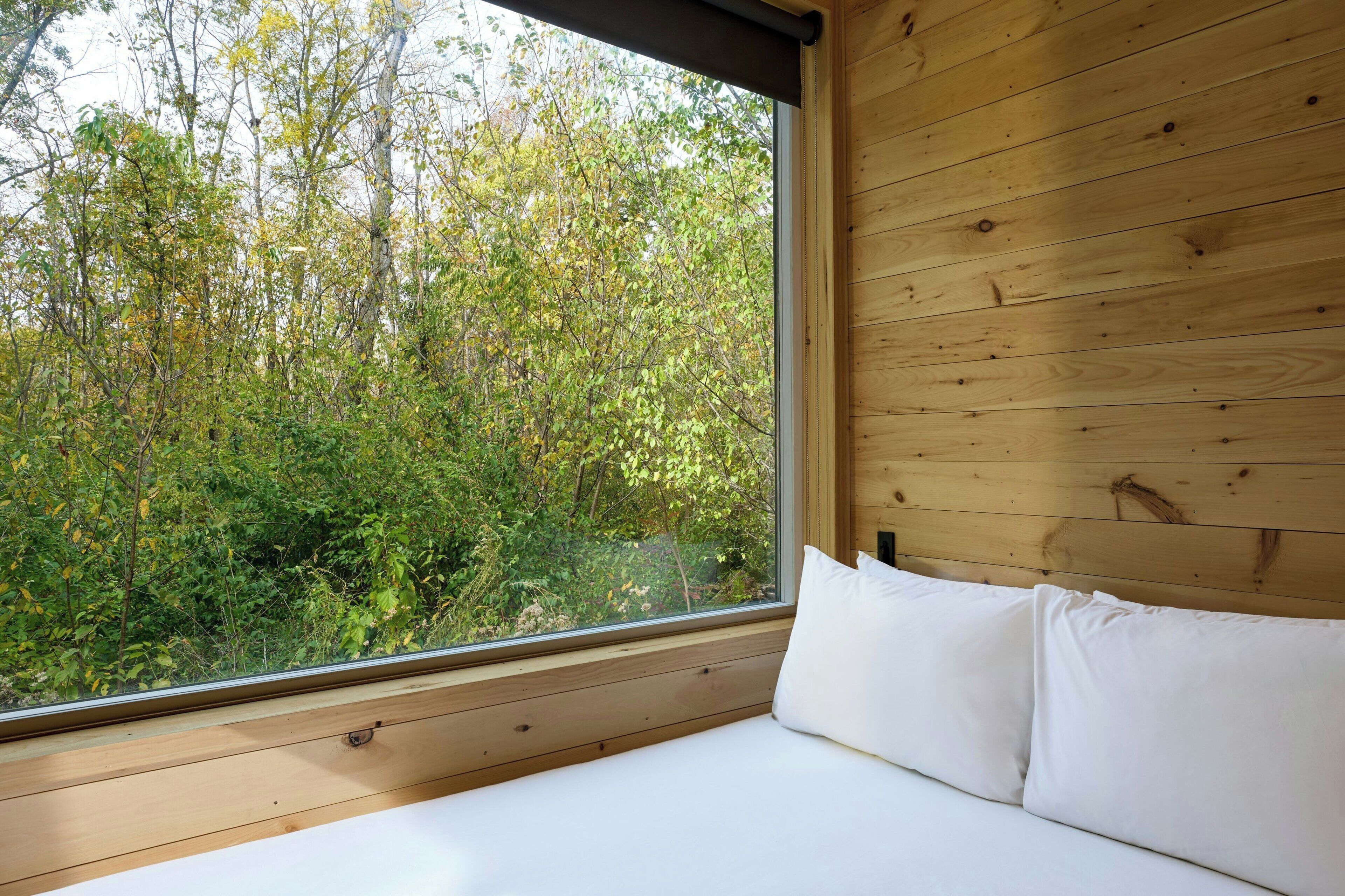 Cabin Tiêu chuẩn, 1 giường cỡ queen | 1 phòng ngủ, bàn, khu vực làm việc phù hợp cho laptop, bộ trải giường 