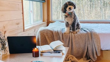 1 quarto, escrivaninha, espaço de trabalho para notebook, roupa de cama