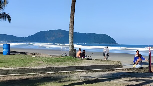Una playa con una palmera, un barril azul y una persona sentada en un banco.