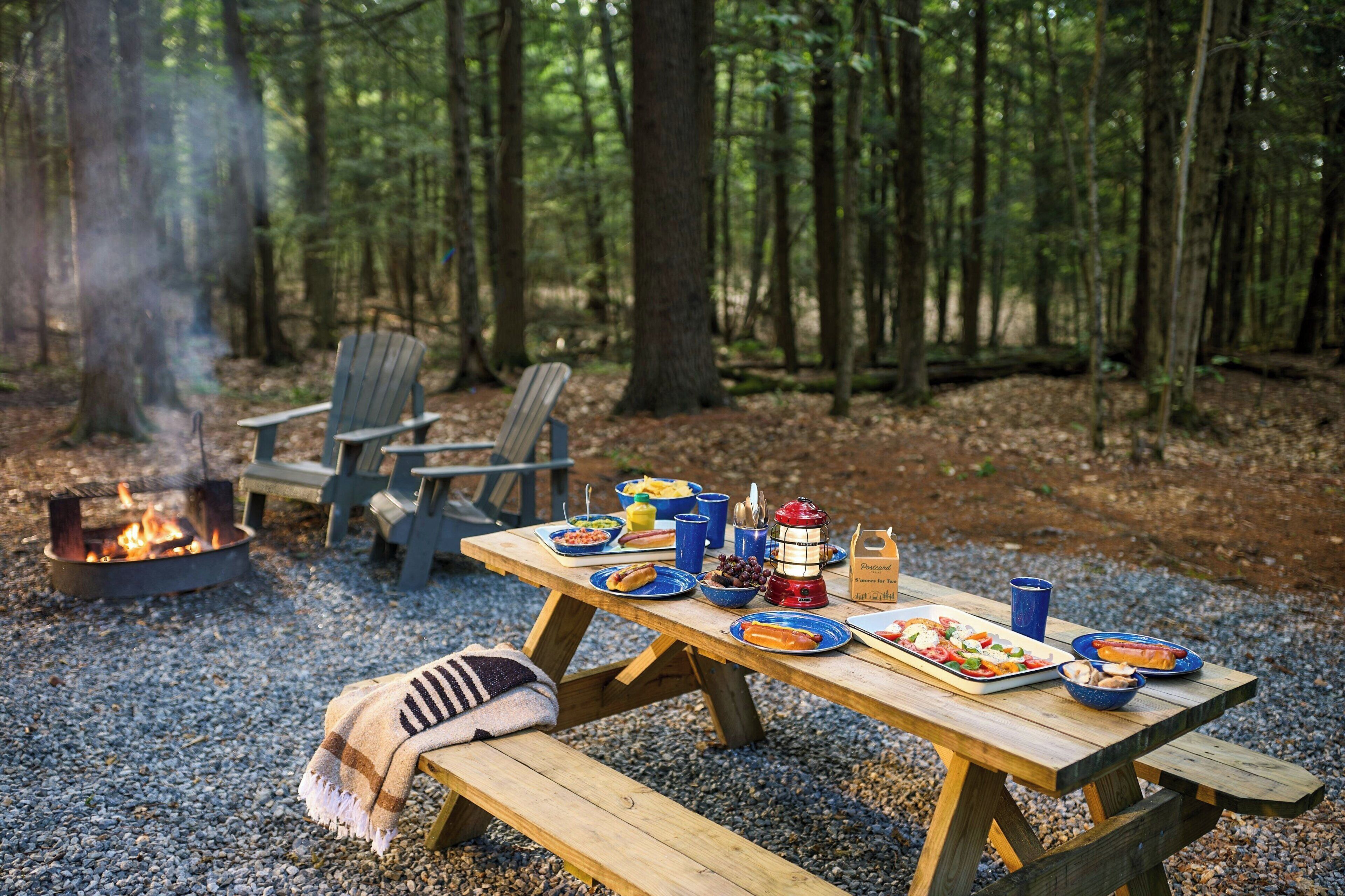 Un coin pique-nique aménagé avec un foyer, une table en bois et des chaises, le tout installé dans une forêt.