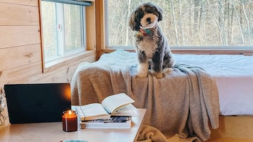 1 bedroom, desk, laptop workspace, bed sheets