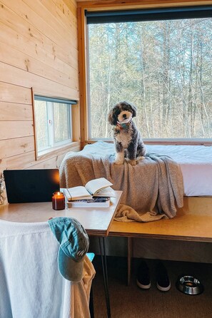 1 bedroom, desk, laptop workspace, bed sheets