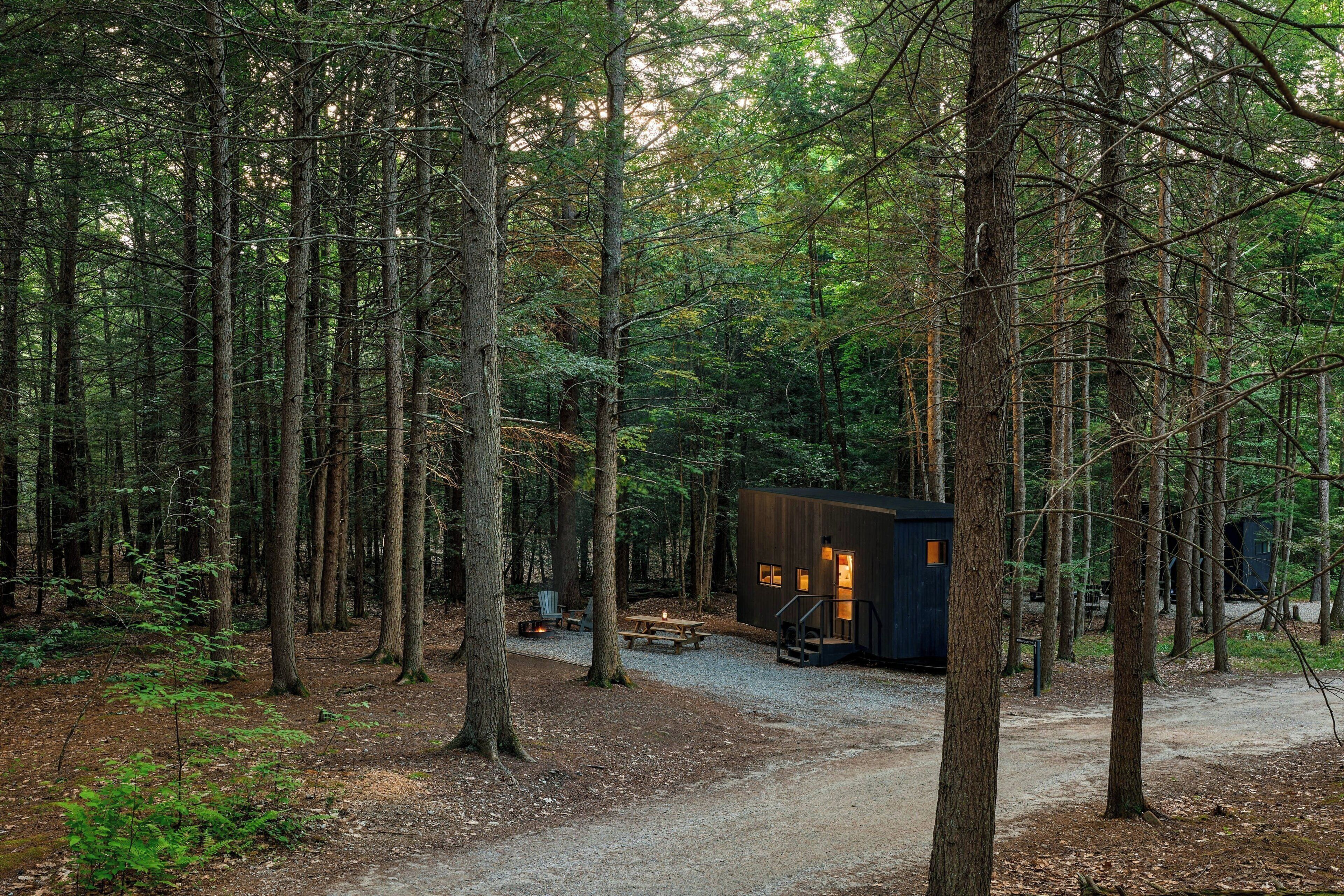 A forest with a cabin, a fire pit, and a picnic table.