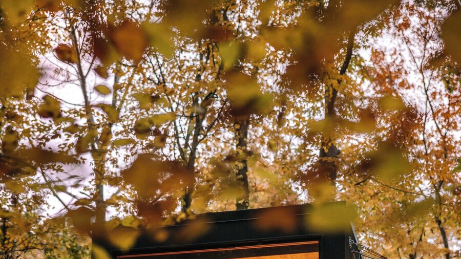 Postcard Cabins Skagit Valley, Outdoor Collection by Marriott Bonvoy