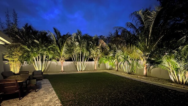 Un patio al aire libre bien iluminado, con piscina, rodeado de palmeras y un muro de piedra.
