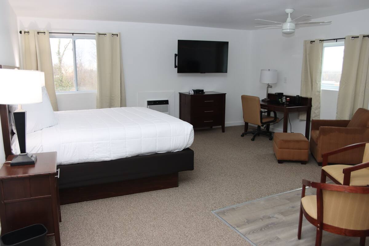 Une chambre d’hôtel équipée d’un lit, d’un bureau, de chaises, d’une télévision et d’un ventilateur de plafond.