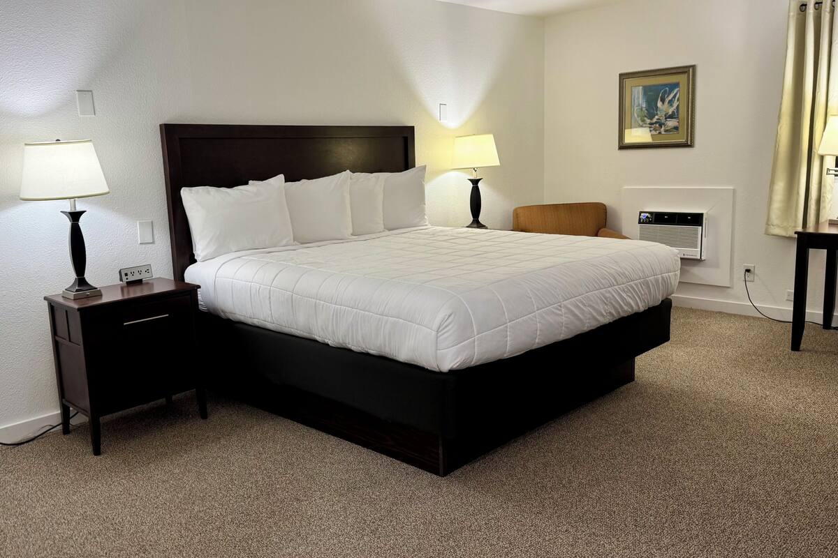 Une chambre d’hôtel avec un grand lit, deux tables de chevet avec des lampes, une chaise, un radiateur et un tableau au mur.