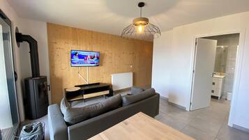 TV, fireplace