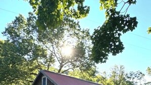 A rustic wooden cabin with a metal roof, a porch, and a small deck.