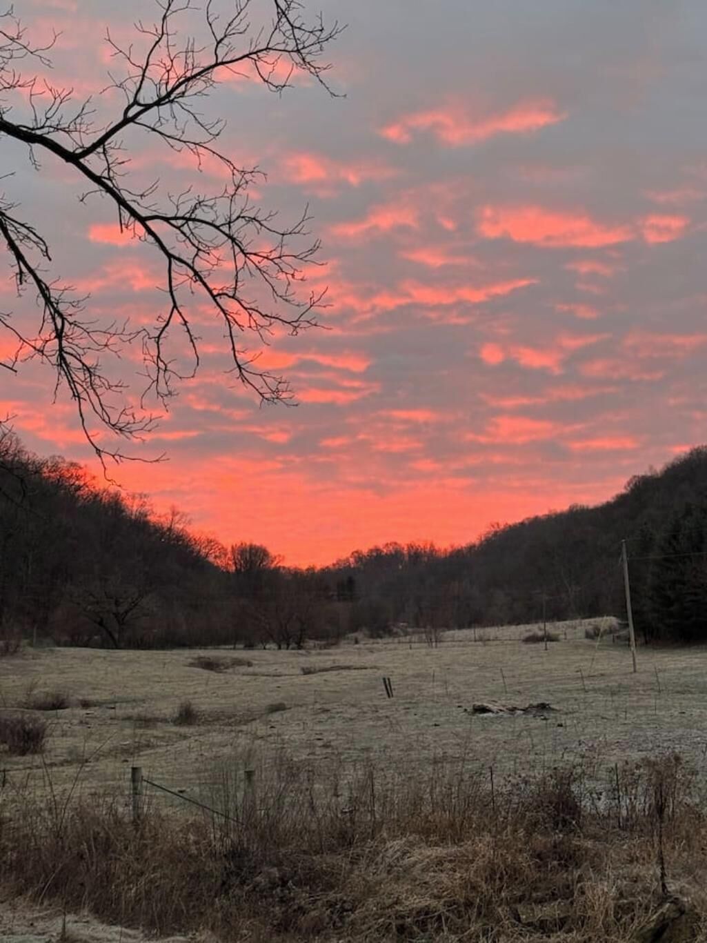 Ländliche Landschaft mit einem Feld und Bäumen unter einem rosa Himmel.