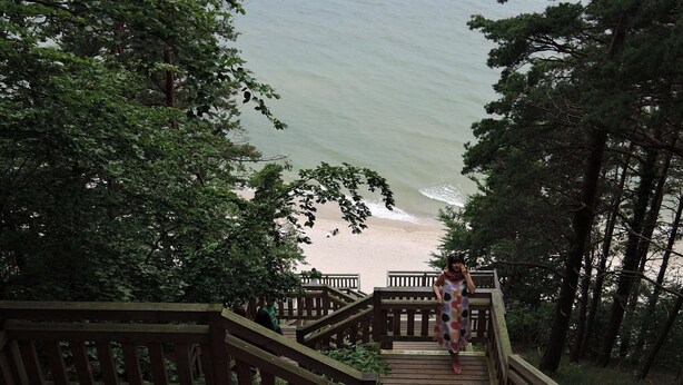 A wooden staircase leading to a beach, surrounded by dense trees. - Comfortable Apartment With a sea View (Miedzyzdroje)