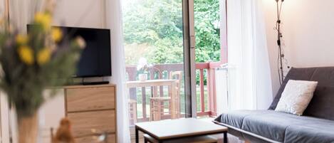 Fernseher