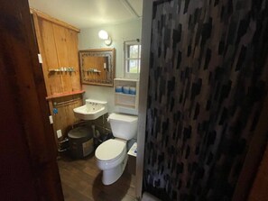 Et lille badeværelse med skab i træ, vask, toilet og bruseforhæng.