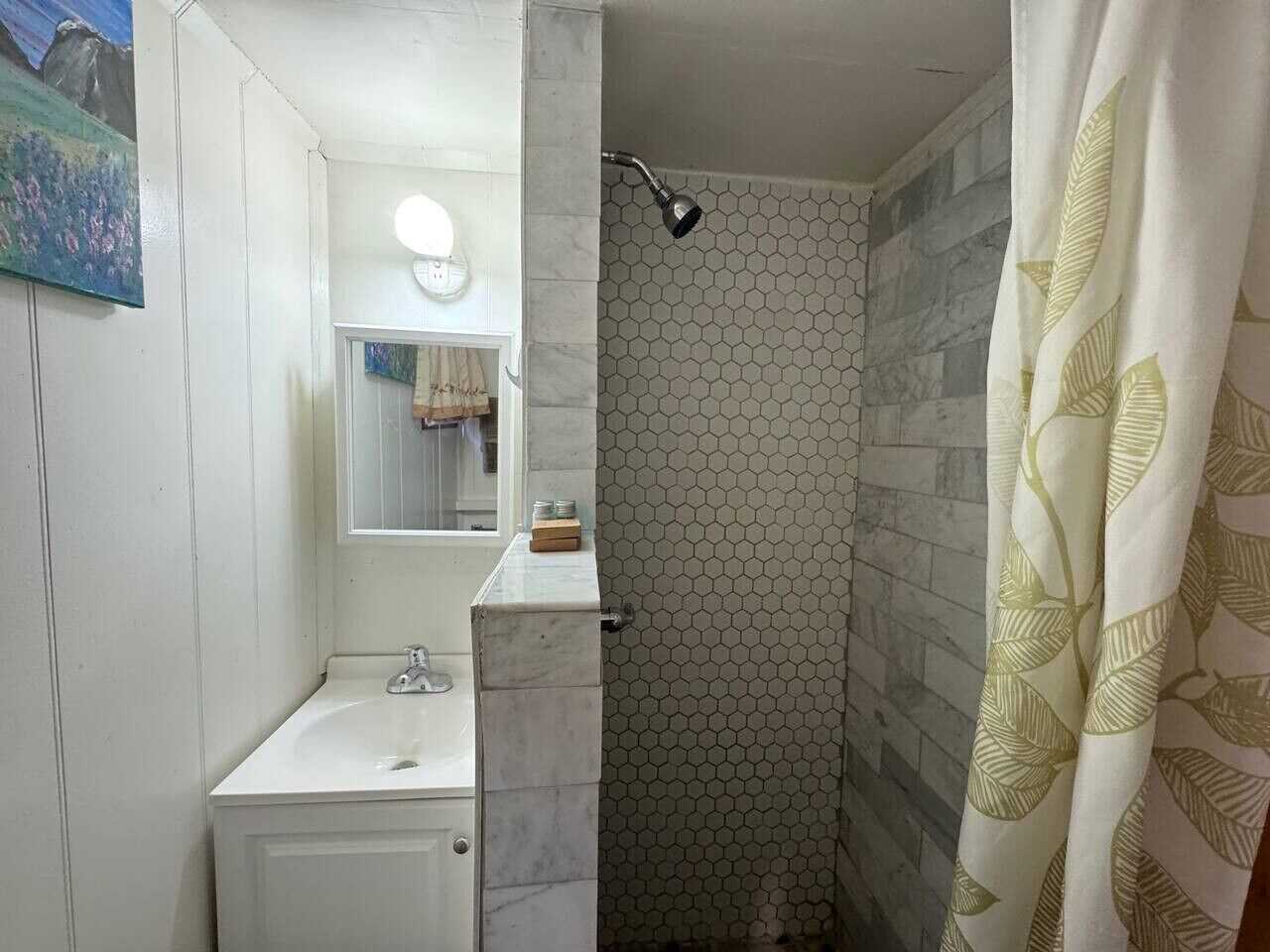 Sæbe, Shampoo