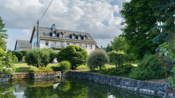 A house with a pond, stone wall, and lush greenery. - Apartment 'Gutshof Lesch - Ferienwohnung 2' with Private Garden and Wi-Fi (Chemnitz)