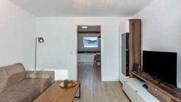 电视、DVD 播放器