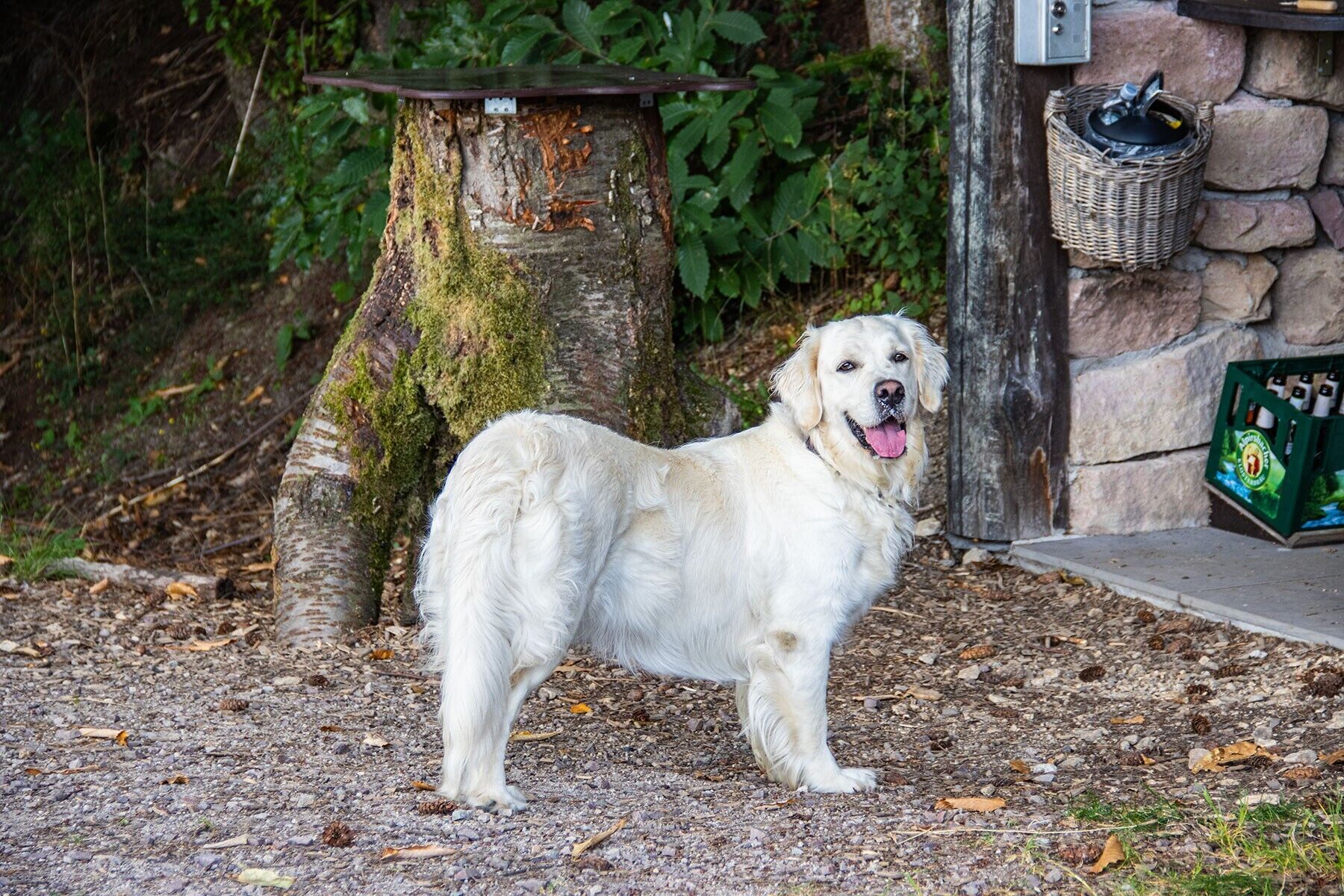 Terrein van de accommodatie