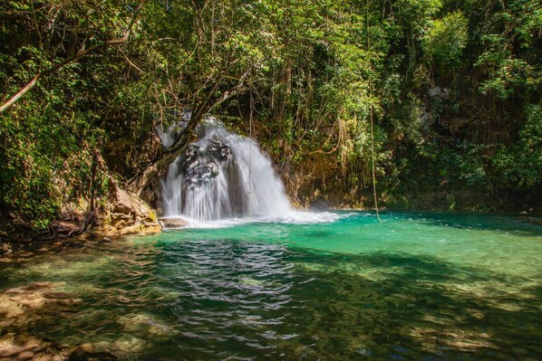 A waterfall in a forested area with clear water.