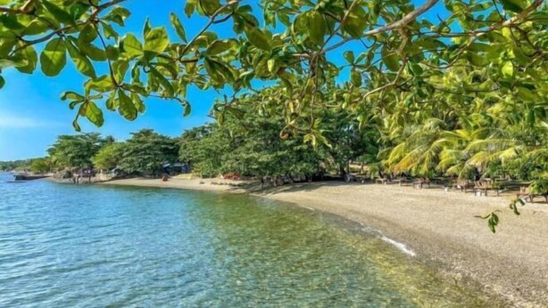 A beach with clear water, trees, and a sandy shore. - RedDoorz @ St Anthony Beach Resort (Asturias)
